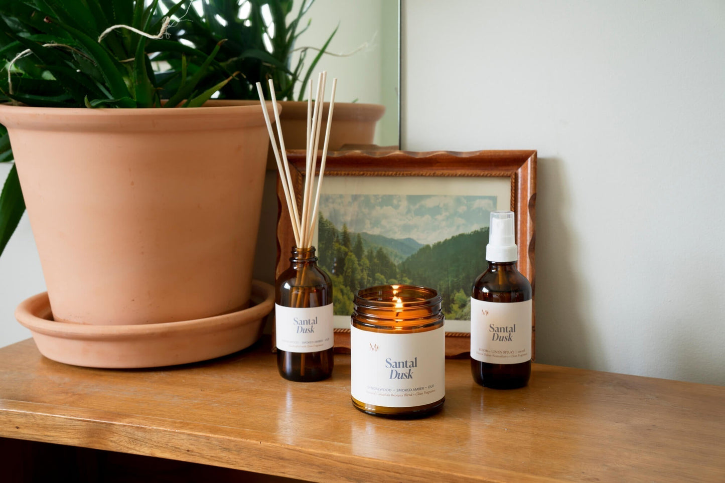 For Pet Owners + Furry Friends: A Guide to Scented Products and Pets