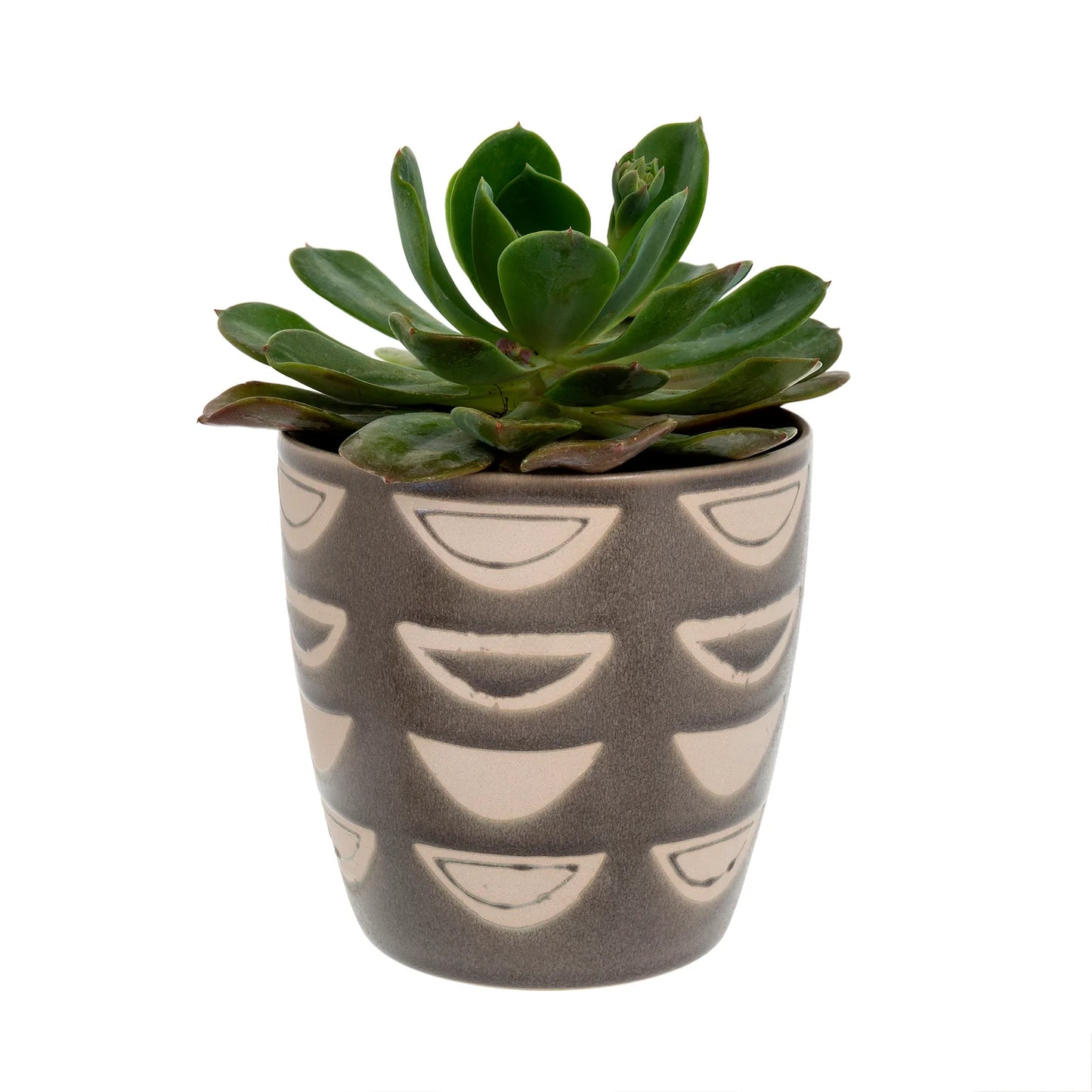 Luna Plant Pot