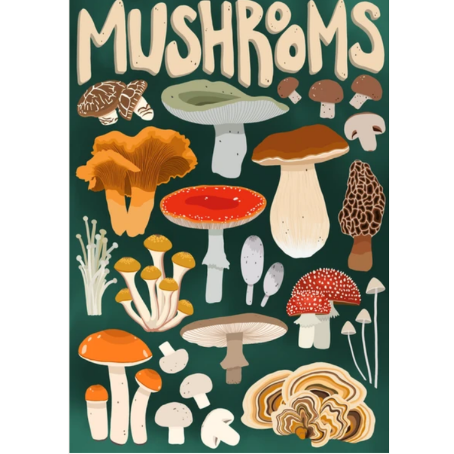 Mushroom Forager | 1000-Piece Puzzle