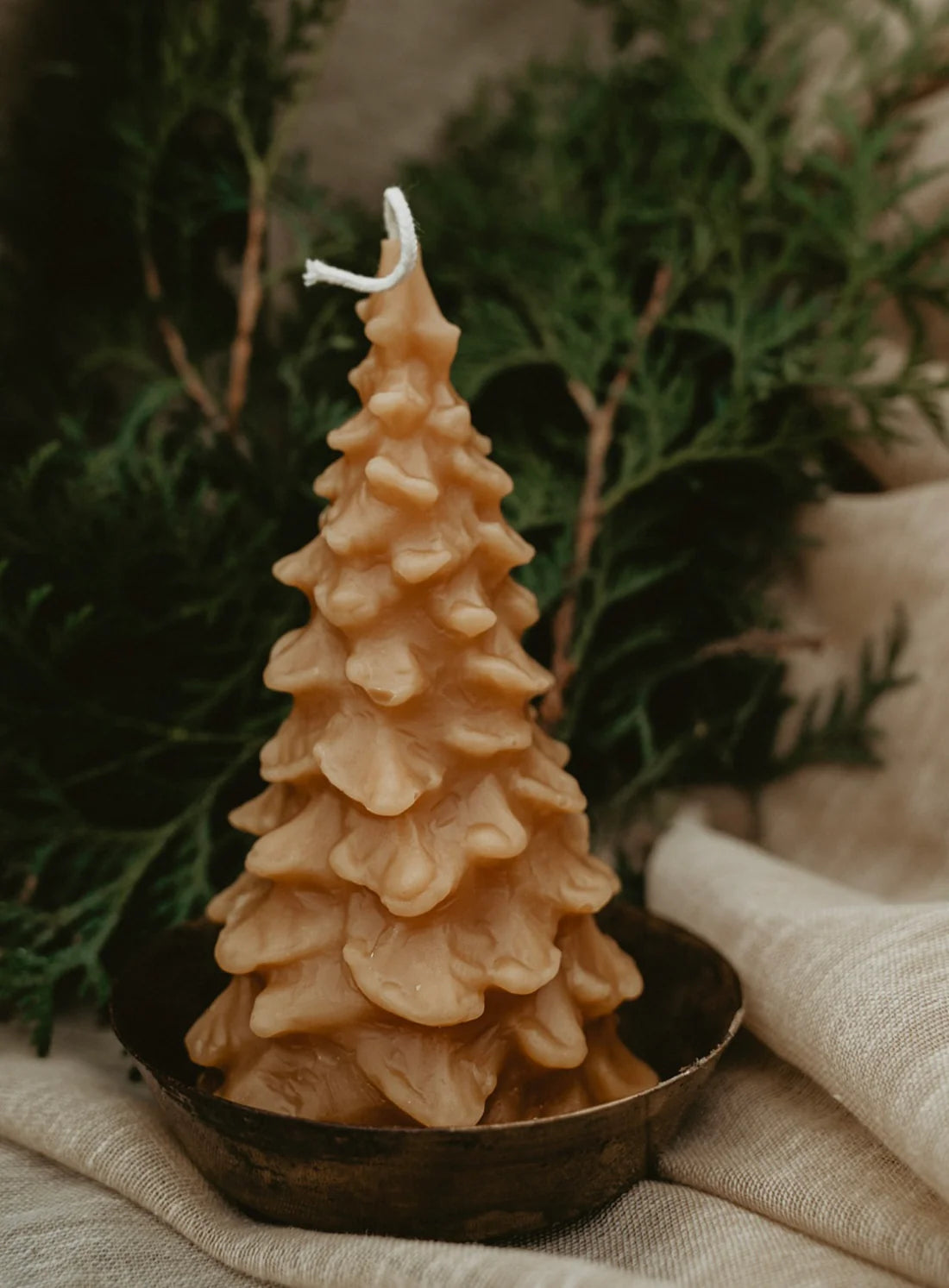 Beeswax Christmas Tree Candle Set