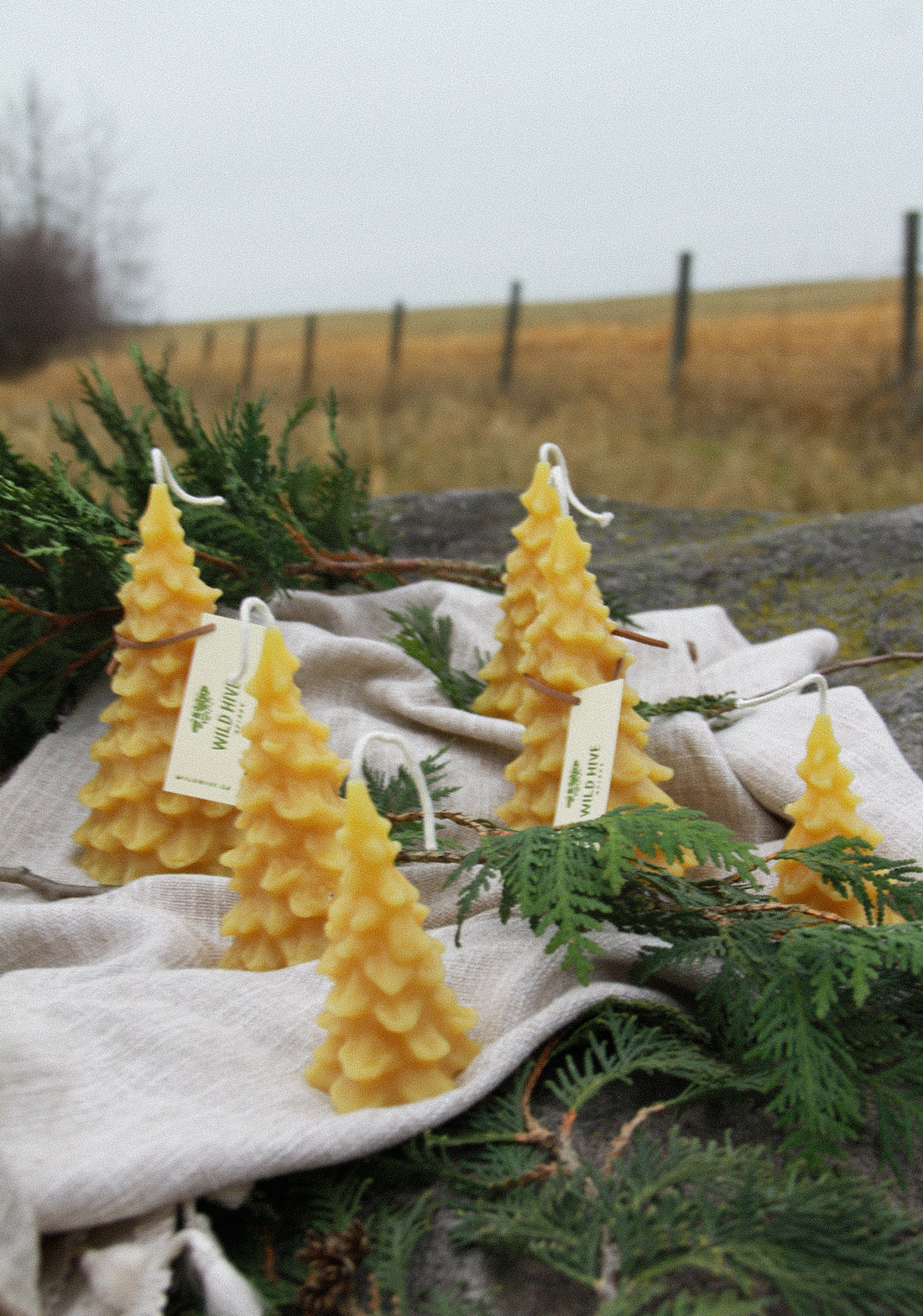 Beeswax Christmas Tree Candle Set