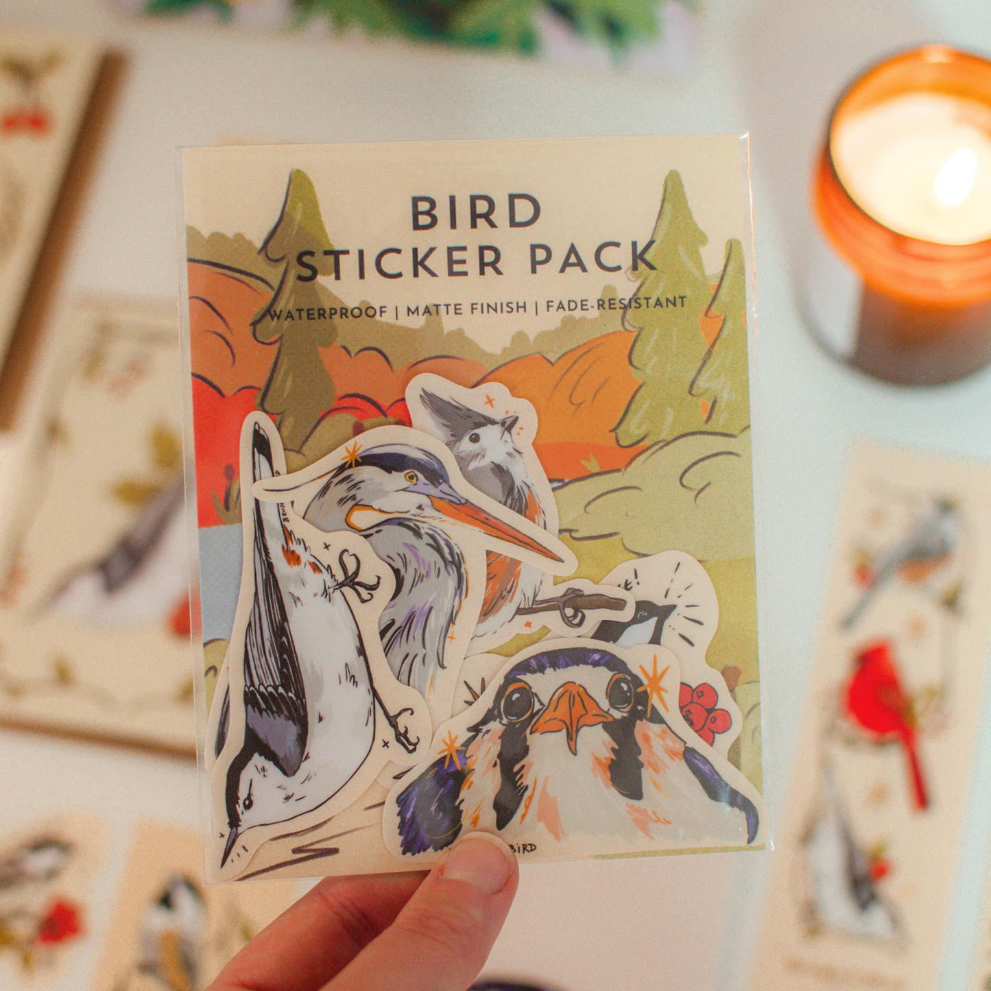 Bird Sticker Pack | Set of 5 - StickersBrush & Bird Paper Co.STK-SET-BIRD1Misiyo Candle Co