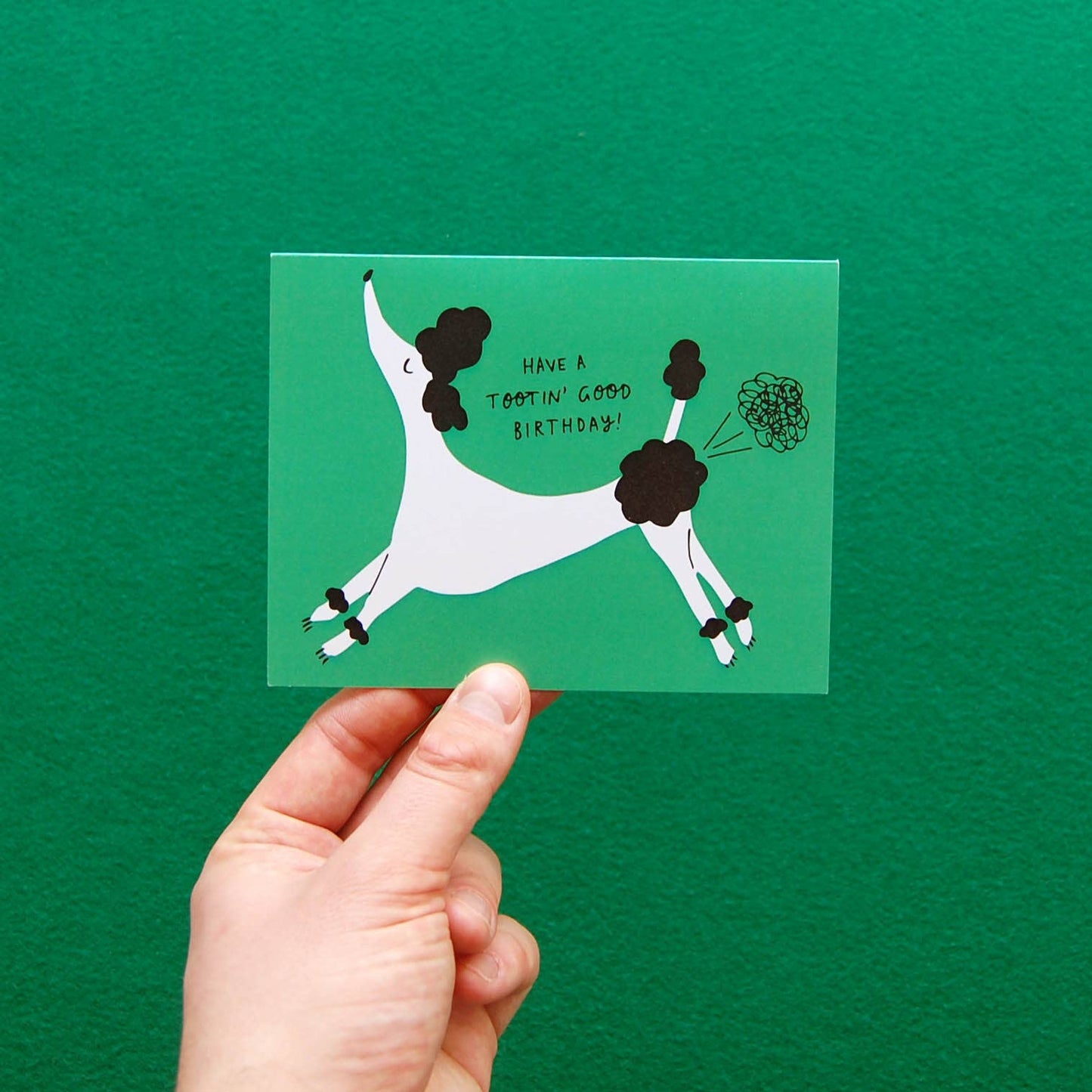 Birthday Toots | Greeting Card - Greeting & Note CardsBadger & BurkeBB-0131Misiyo Candle Co