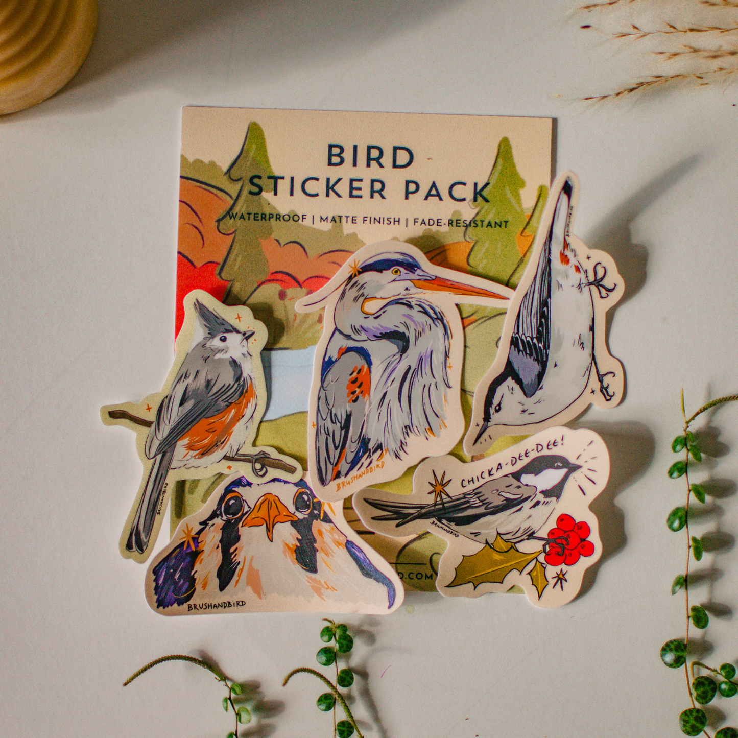 Brush and Bird Bird Sticker Pack fanned out against its illustrated card backing — five waterproof, matte-finish die-cut bird stickers featuring a heron, chickadee, tufted titmouse, and more, styled on a light surface with greenery.