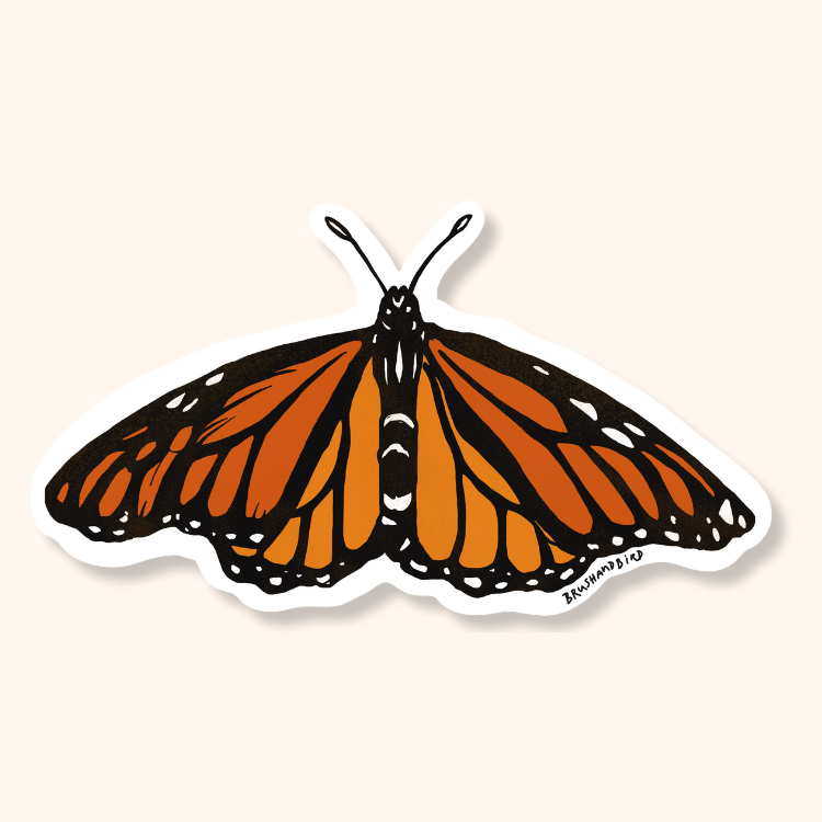 Brush & Bird's Monarch Butterfly die-cut sticker with bold orange, black, and white illustrated wings on a white vinyl base, floating against a warm cream background — a nature-inspired laptop or water bottle sticker for butterfly lovers.