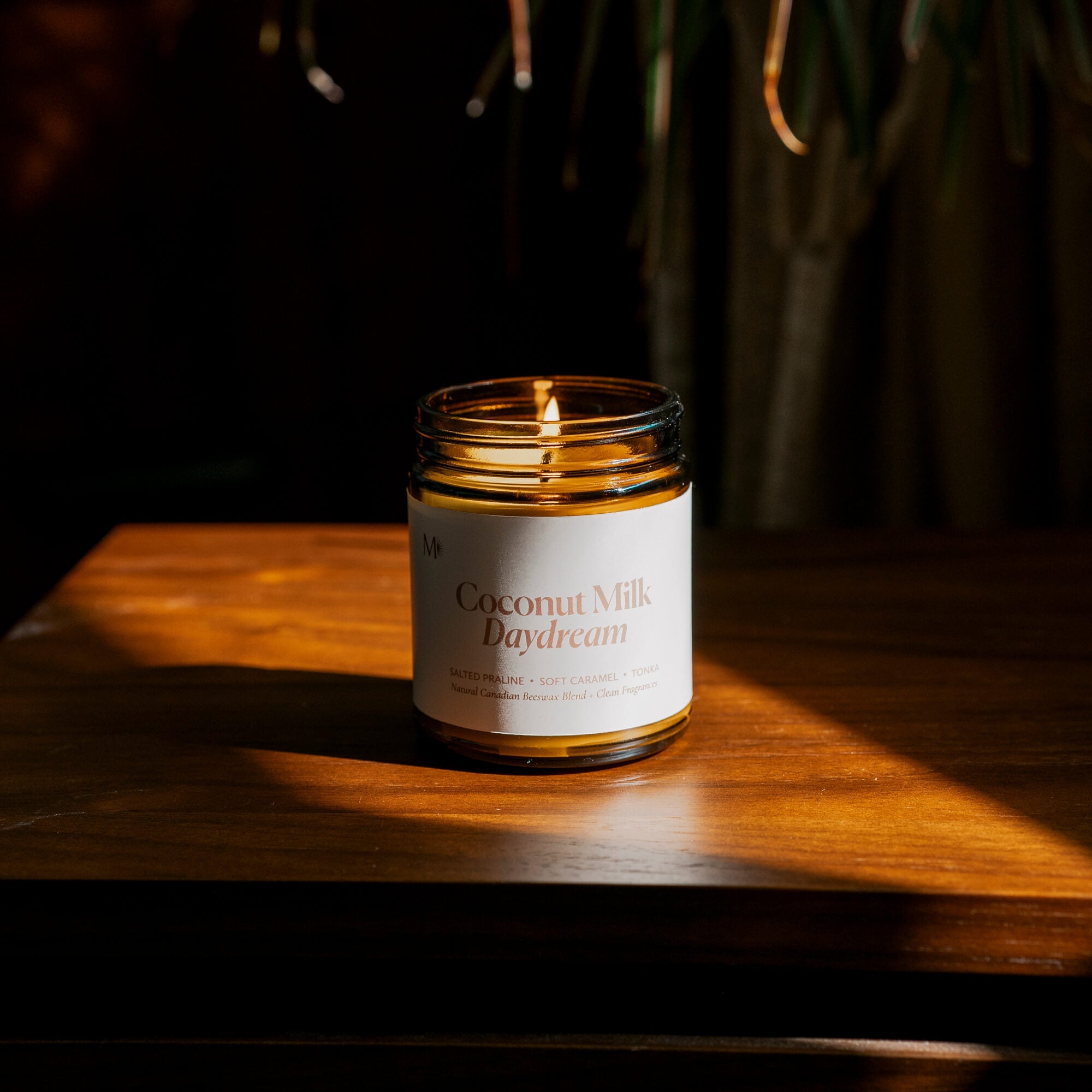 Coconut Milk Daydream Candle | Misiyo Canada – Misiyo Candle Co