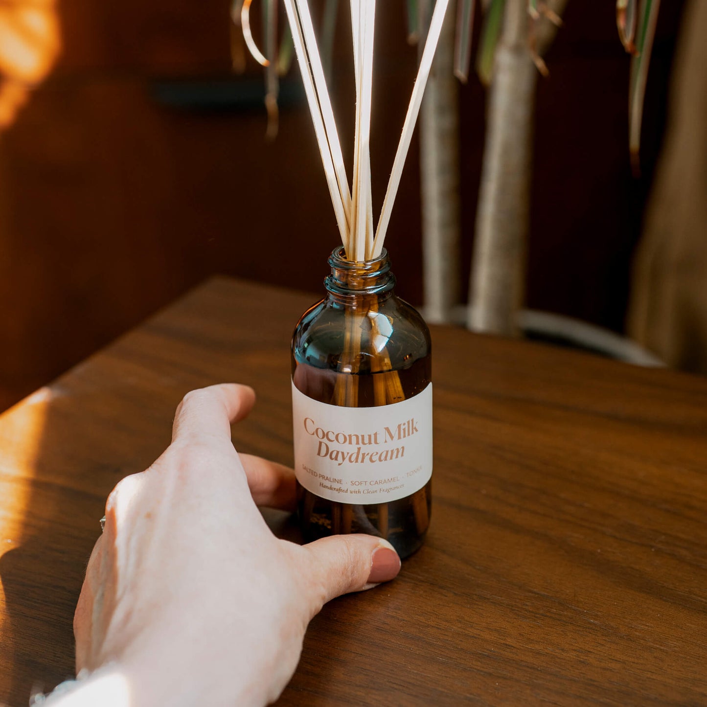 Coconut Milk Daydream Reed Diffuser - Reed DiffusersMisiyo Candle CoRDF-CMDMisiyo Candle Co