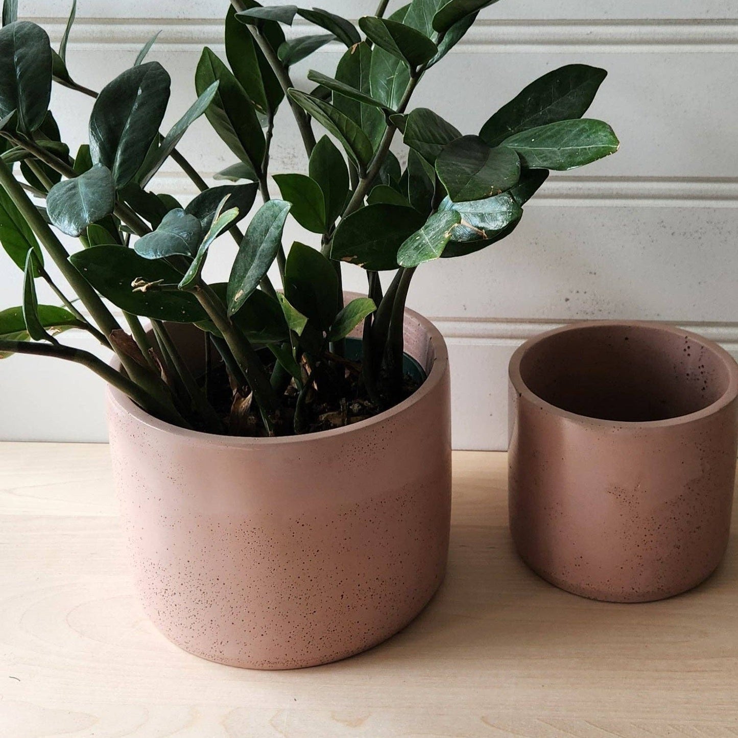 Cylinder Handmade Concrete Plant Pot | 7" - PlanterPlant 'er HereMisiyo Candle Co