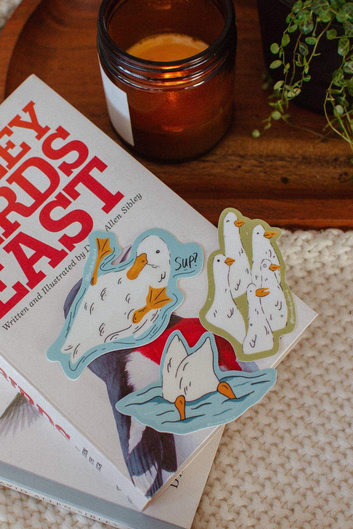 Duck Group Sticker - StickersBrush & Bird Paper Co.STK098Misiyo Candle Co