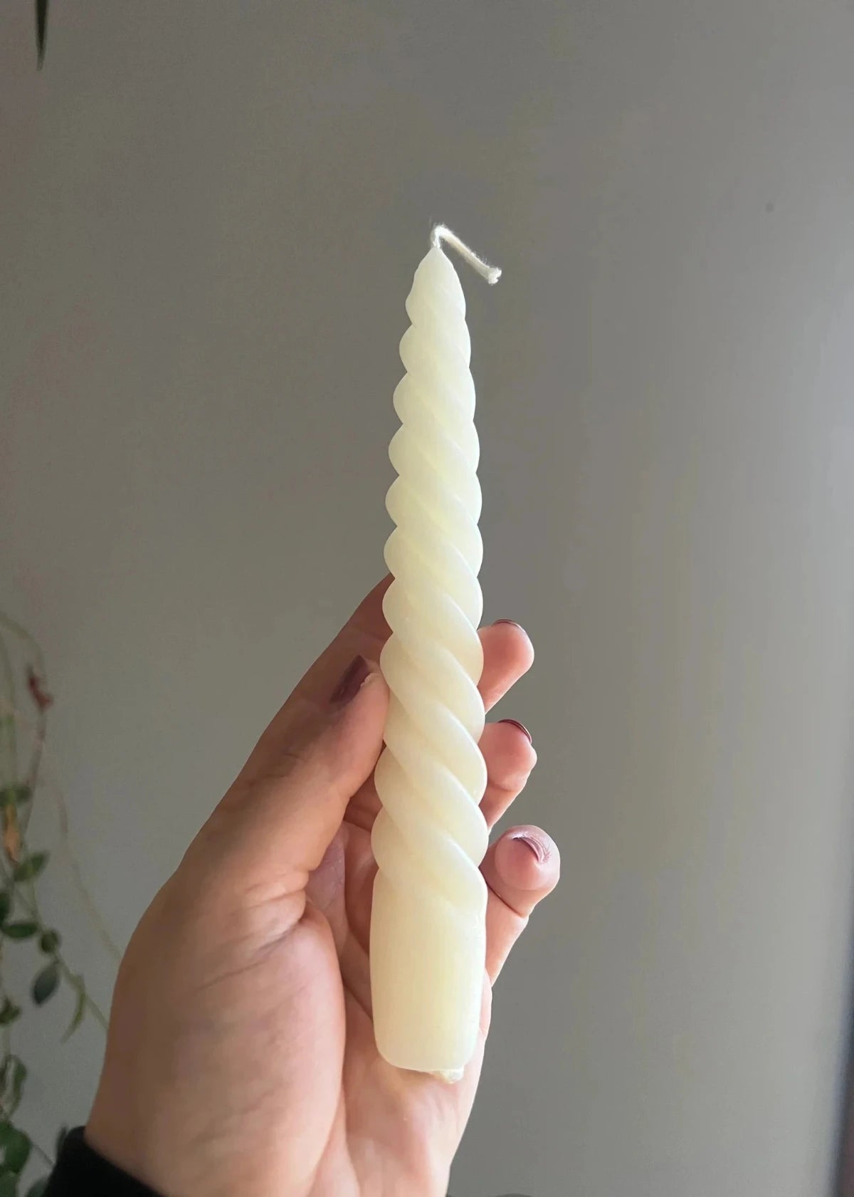 ivory spiral beeswax taper candle