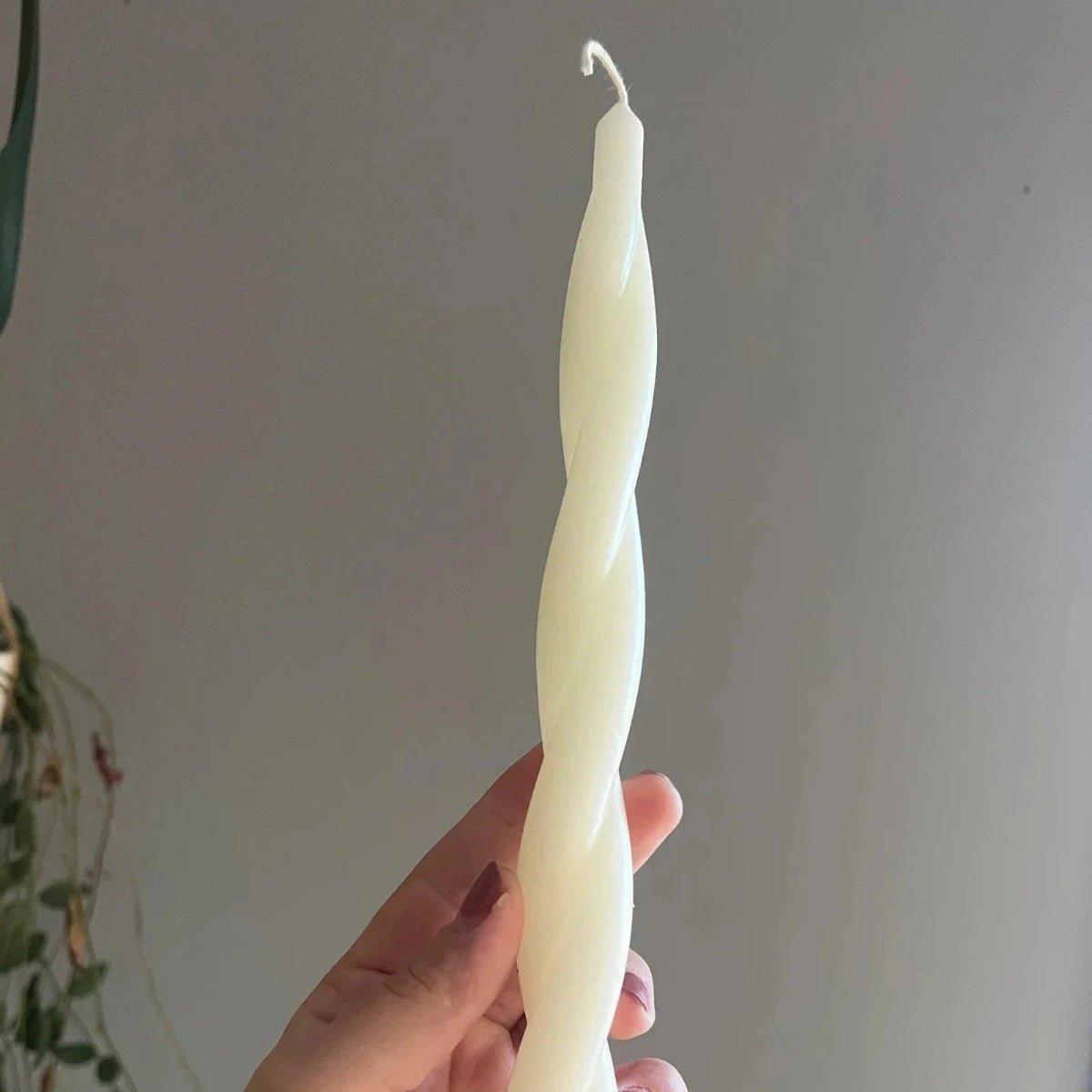 Loose Spiral Beeswax Taper Candle | 11" - Taper CandlesWild Hive ApiaryMisiyo Candle Co