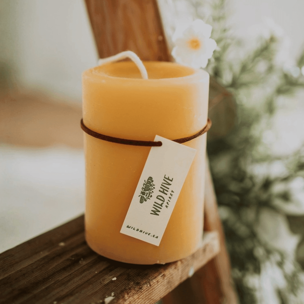 Medium Round Beeswax Pillar Candle - Pillar CandlesWild Hive ApiaryCL-27Misiyo Candle Co