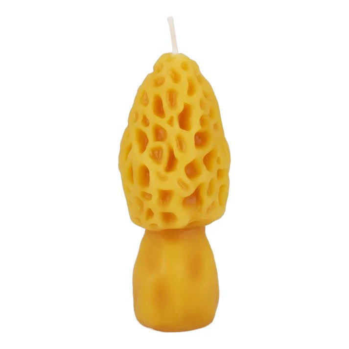 Morel Mushroom Beeswax Candle - Pillar CandlesHoney CandlesMisiyo Candle Co