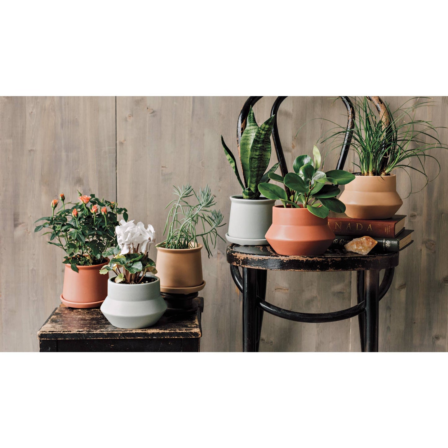Nectar Mesa Plant Pot - PlanterDanicaL132006Misiyo Candle Co