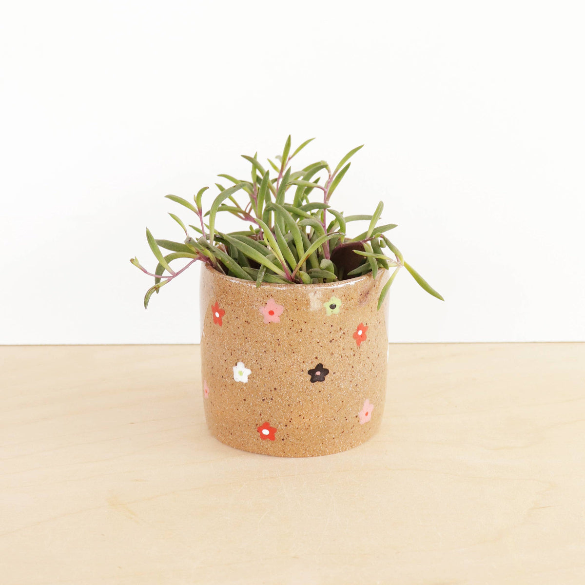 Small plant in a decorative pot with colorful stickers on a wooden surface