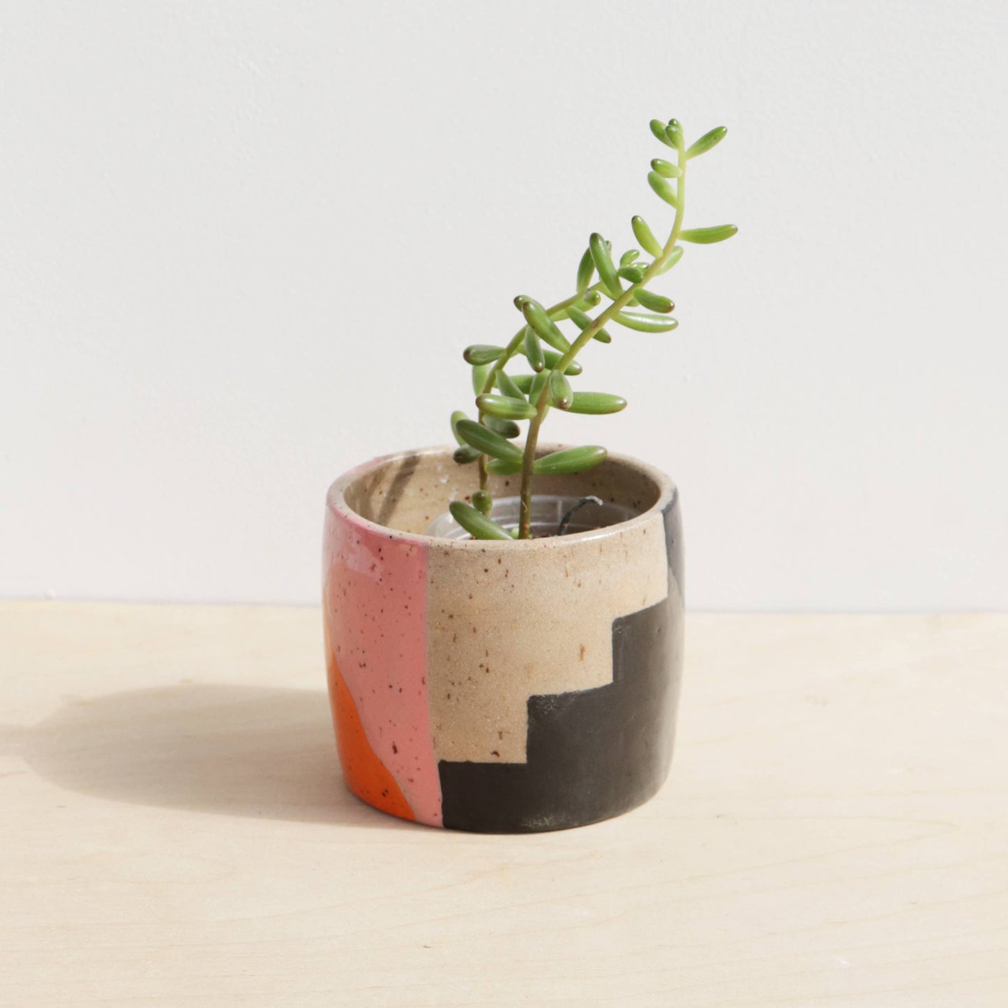 Ceramic planter with geometric design containing a small plant on a light background