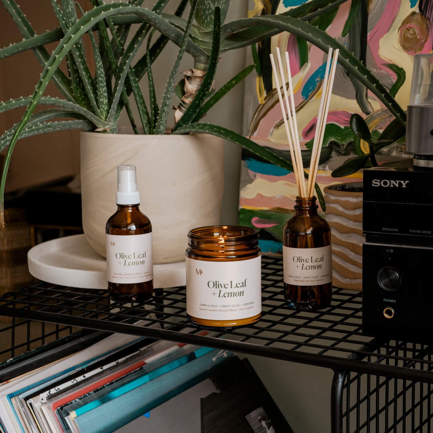olive leaf and lemon home fragrance collection by Misiyo Candle Co in a lifestyle setting with plants and colourful art in the background