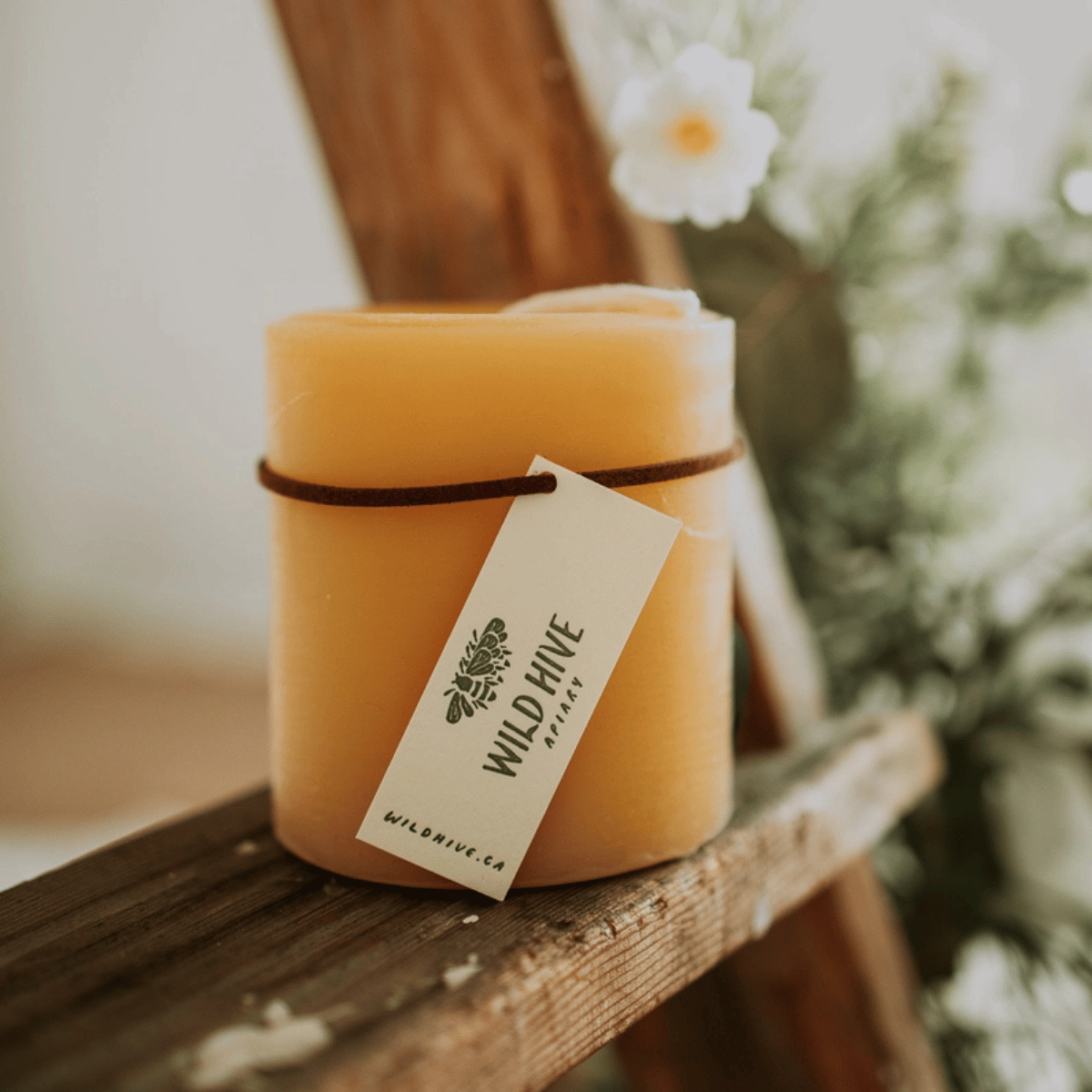 Small Round Beeswax Pillar Candle - Pillar CandlesWild Hive ApiaryCL-26Misiyo Candle Co