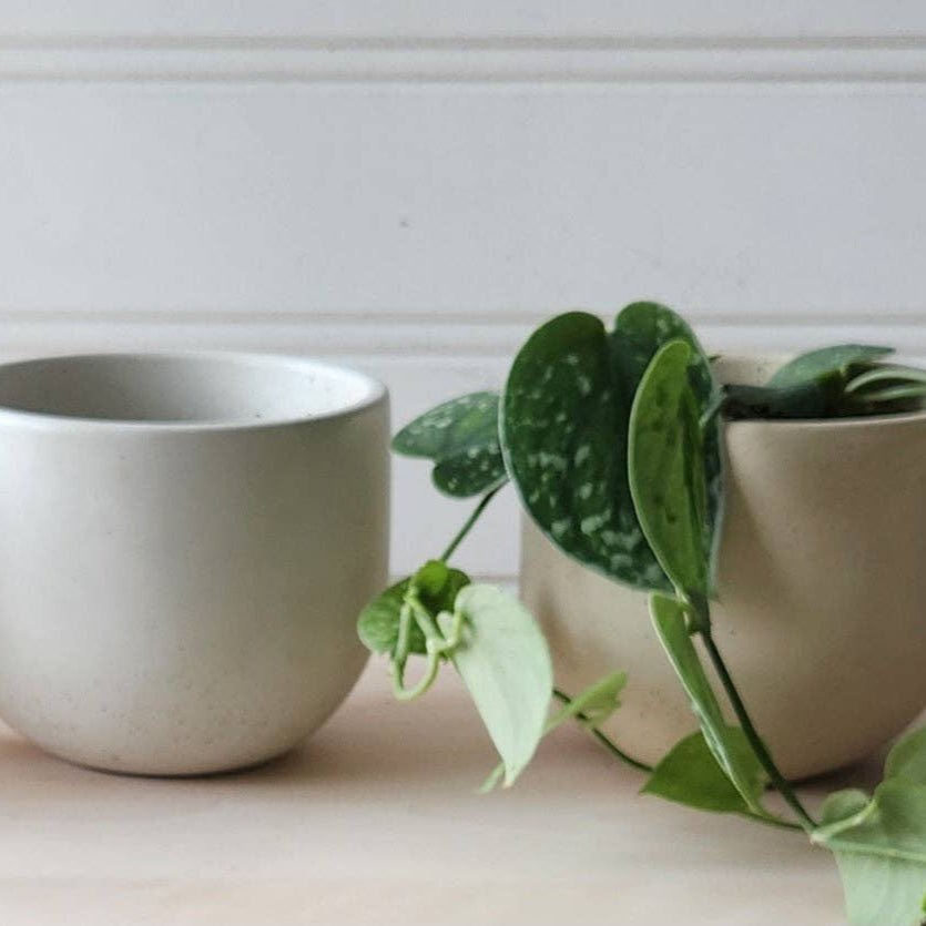 Tulip Concrete Handmade Plant Pot - PlanterPlant 'er HereMisiyo Candle Co