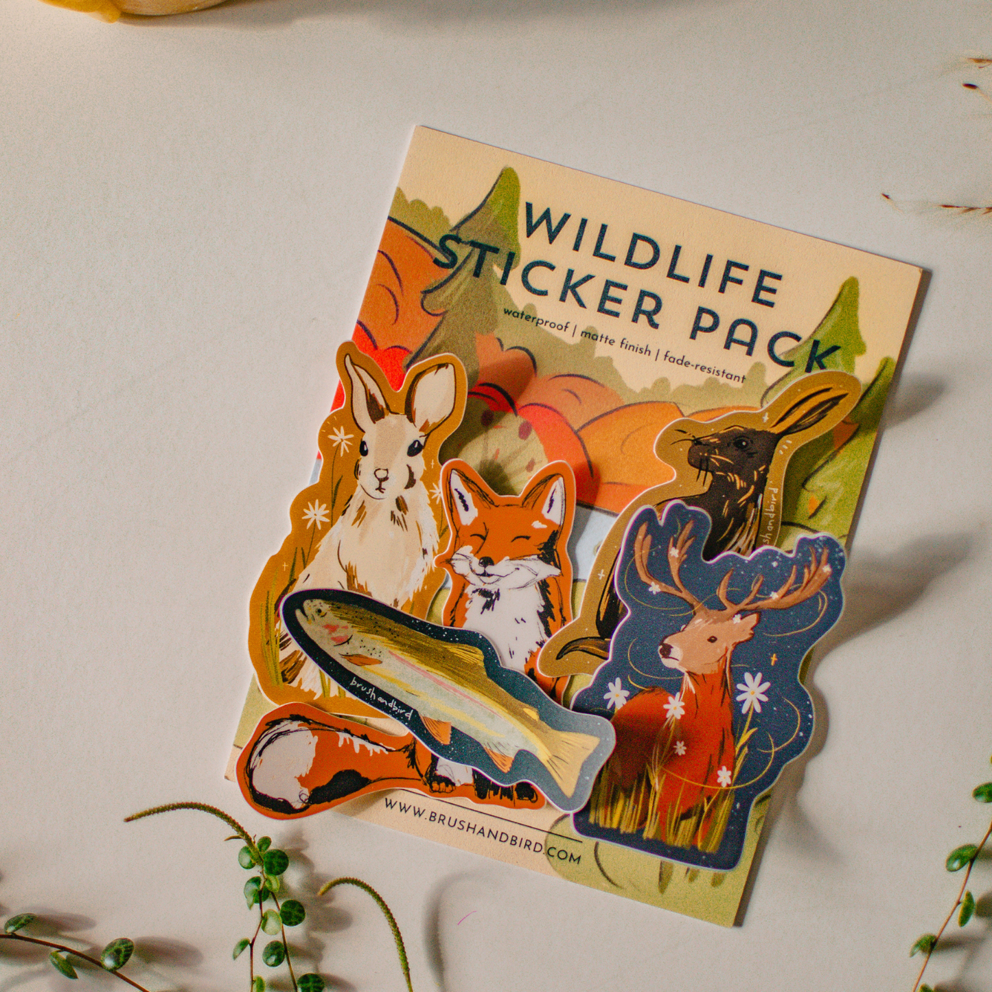 Wildlife Sticker Pack | Set of 5 - StickersBrush & Bird Paper Co.STK-SET-WILDLIFE1Misiyo Candle Co